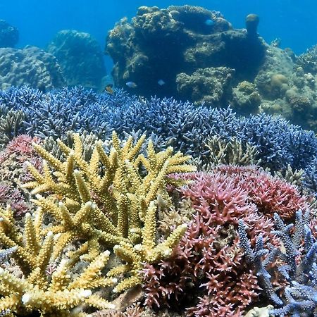 Hotel Alam Karang Gili Gede Esterno foto